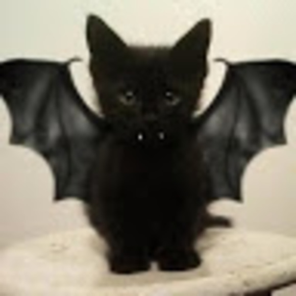 Meet your Posher, Kat. - Picture 1 of 1